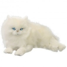White Persian Plush Cat Lying